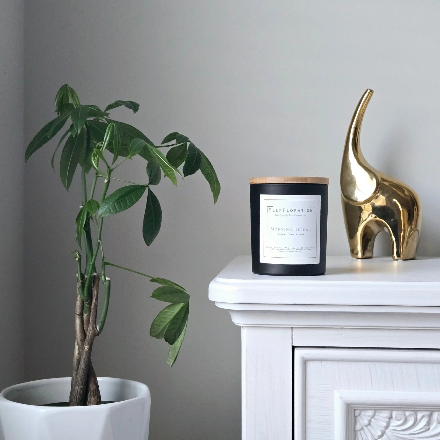 Morning Ritual | Ginger & White Tea Candle - SelfPloration