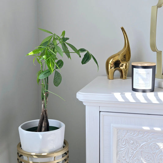 Luxury scented candle